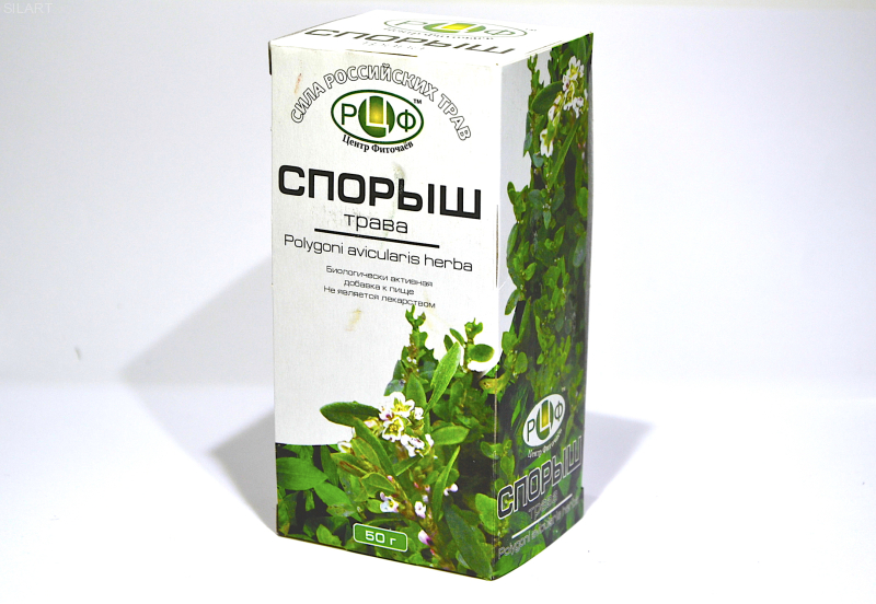 Спорыш трава