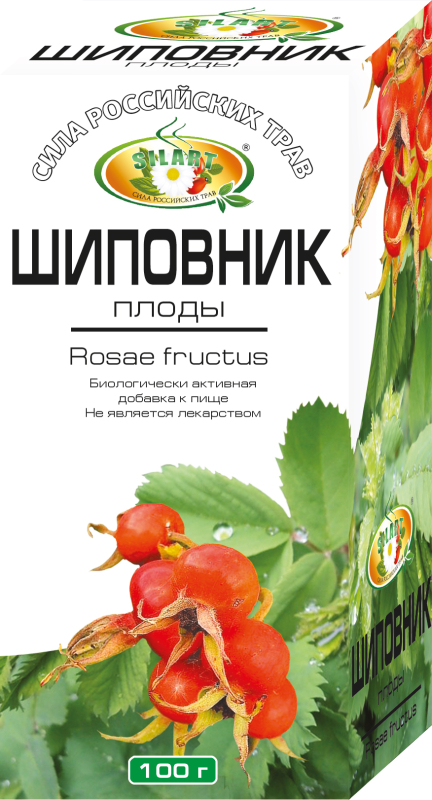 Шиповник, плоды